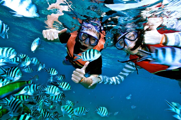 Ö-hoppningsäventyr på Bahamas med simmande grisar, sköldpaddor och snorkling, foto 15 | wizardtrip