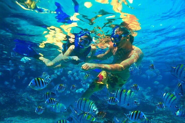 Ö-hoppningsäventyr på Bahamas med simmande grisar, sköldpaddor och snorkling, foto 16 | wizardtrip