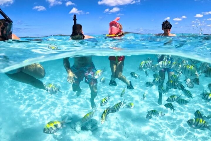 3 Eilanden Tour met Snorkelen, Varkens, Schildpadden & Strandclub Lunch | wizardtrip
