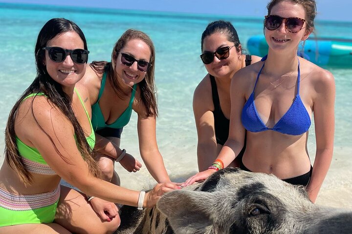Øyhopping-eventyr på Bahamas med svømmegriser, skilpadder, snorkling og strandklubb, foto 11 | wizardtrip