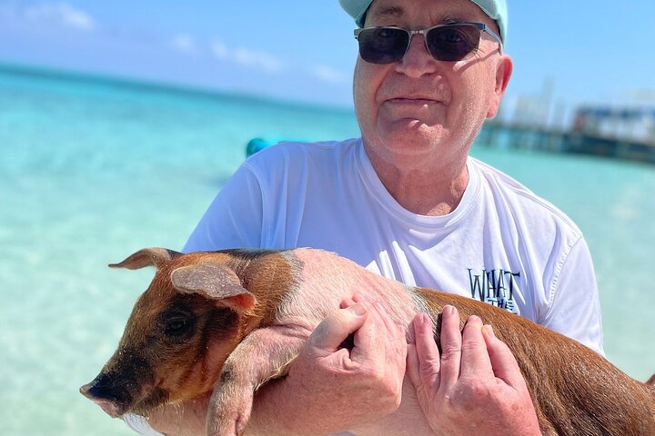 Øyhopping-eventyr på Bahamas med svømmegriser, skilpadder, snorkling og strandklubb, foto 16 | wizardtrip