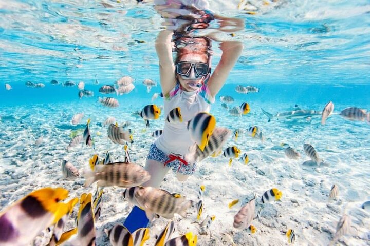 Øyhopping-eventyr på Bahamas med svømmegriser, skilpadder, snorkling og strandklubb, foto 30 | wizardtrip