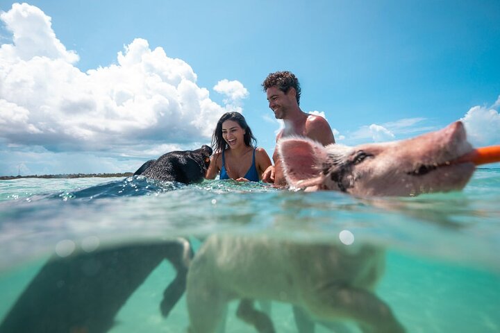 Øyhopping-eventyr på Bahamas med svømmegriser, skilpadder, snorkling og strandklubb, foto 35 | wizardtrip