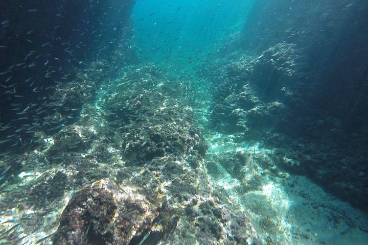 Excursion en bateau rapide vers la Grotte Bleue, les Grottes Vertes et la plage de Sunj depuis Dubrovnik, photo 11 | wizardtrip