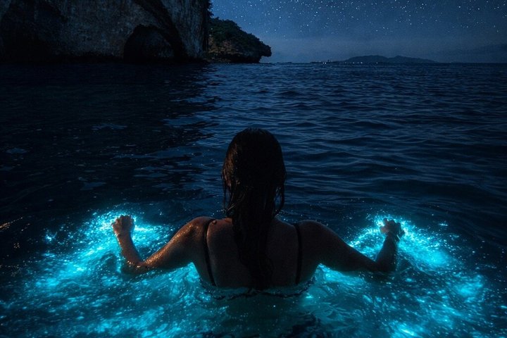 Excursion en bateau bioluminescence et coucher de soleil vers le sanctuaire Los Arcos | wizardtrip