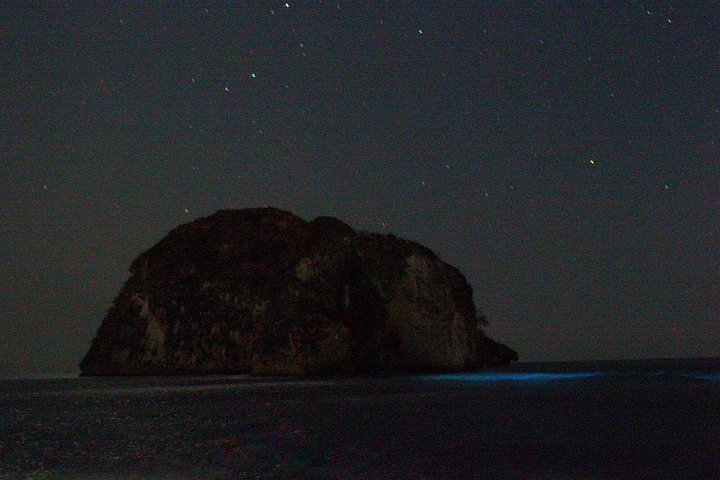Passeio de barco de bioluminescência e pôr do sol em Puerto Vallarta, México, foto 7 | wizardtrip