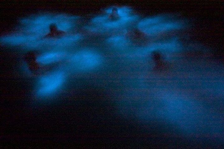 Passeio de barco de bioluminescência e pôr do sol em Puerto Vallarta, México, foto 10 | wizardtrip