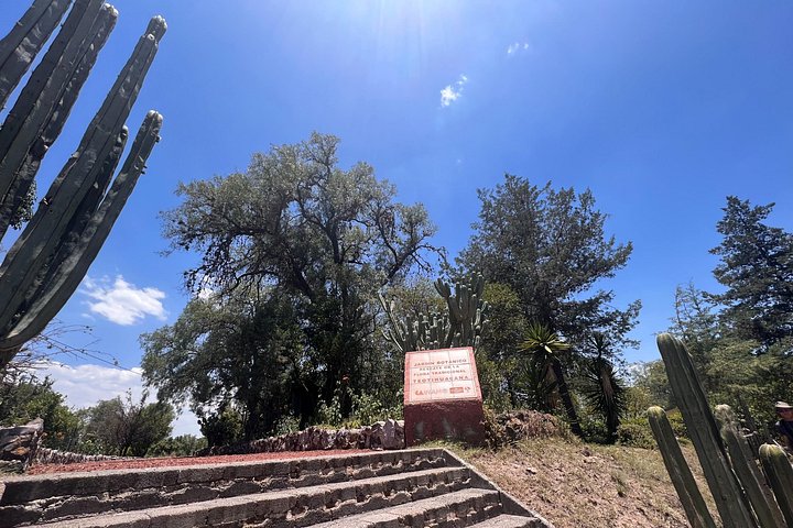 Tour privato delle antiche piramidi di Teotihuacan, patrimonio UNESCO vicino a Città del Messico, foto 18 | wizardtrip