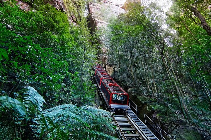 Kleingruppentour zu den Blue Mountains, dem Sydney Zoo und Scenic World mit Koalas und den Three Sisters, Foto 9 | wizardtrip