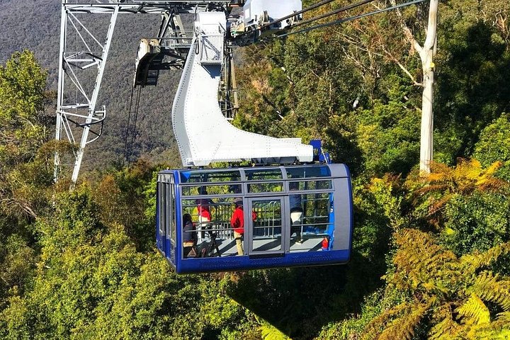Kleingruppentour zu den Blue Mountains, dem Sydney Zoo und Scenic World mit Koalas und den Three Sisters, Foto 10 | wizardtrip