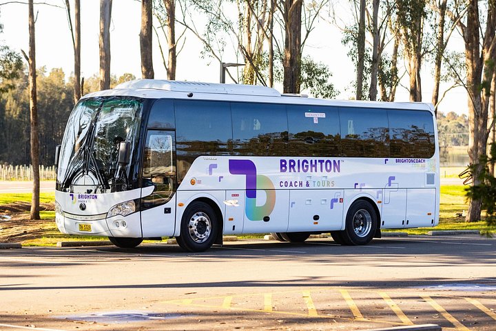 Kleingruppentour zu den Blue Mountains, dem Sydney Zoo und Scenic World mit Koalas und den Three Sisters, Foto 12 | wizardtrip