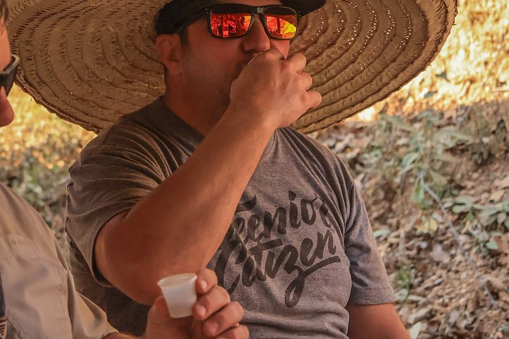 Tour privato in ATV a Puerto Vallarta, Sierra Madre, con cascata e degustazione tequila, foto 21 | wizardtrip