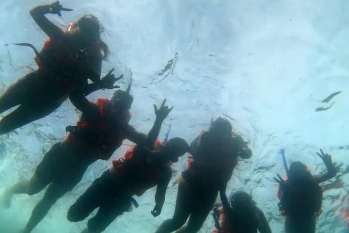 Båd- og snorkeltur for små grupper til Los Arcos-øerne nær Puerto Vallarta, Mexico, foto 9 | wizardtrip