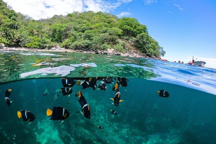 Båd- og snorkeltur for små grupper til Los Arcos-øerne nær Puerto Vallarta, Mexico, foto 17 | wizardtrip