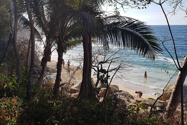 Tour de senderismo de día completo a playas escondidas cerca de Puerto Vallarta, México, con snorkel, foto 8 | wizardtrip