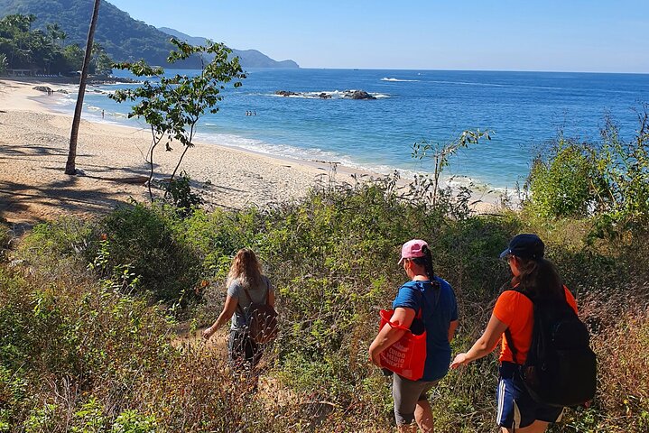 Tour de senderismo de día completo a playas escondidas cerca de Puerto Vallarta, México, con snorkel, foto 9 | wizardtrip