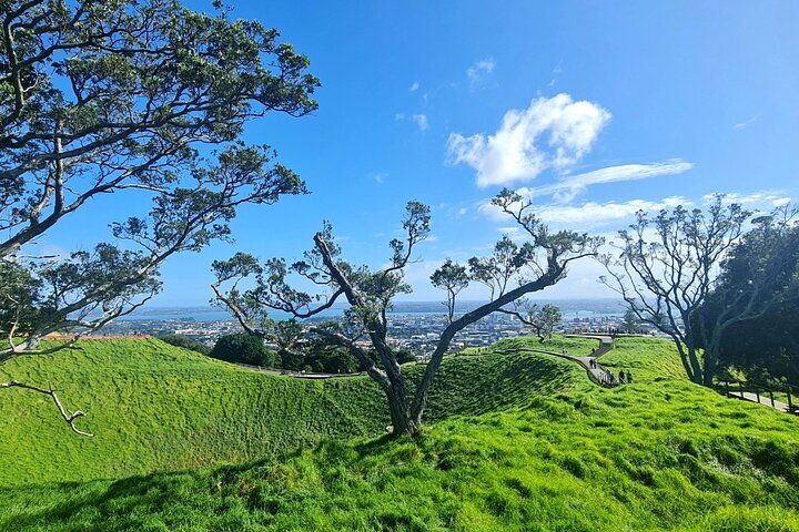 Visita galardonada en grupo reducido explorando los puntos destacados de la ciudad de Auckland, incluido el Puente del Puerto y el Monte Edén, foto 6 | wizardtrip