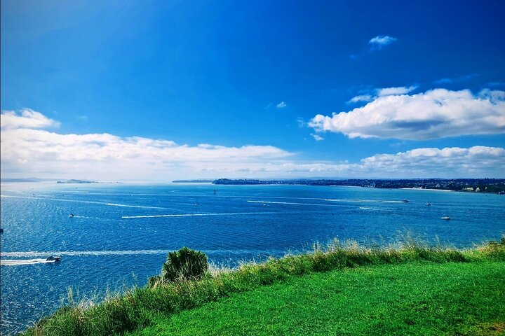 Visita galardonada en grupo reducido explorando los puntos destacados de la ciudad de Auckland, incluido el Puente del Puerto y el Monte Edén, foto 14 | wizardtrip