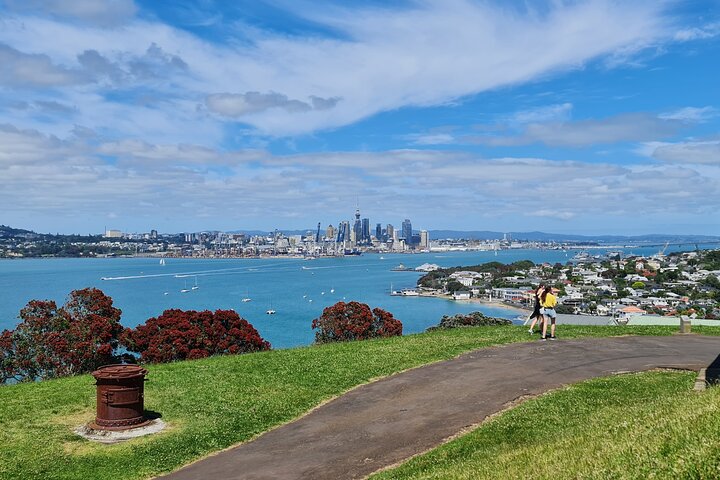 Visita galardonada en grupo reducido explorando los puntos destacados de la ciudad de Auckland, incluido el Puente del Puerto y el Monte Edén, foto 17 | wizardtrip