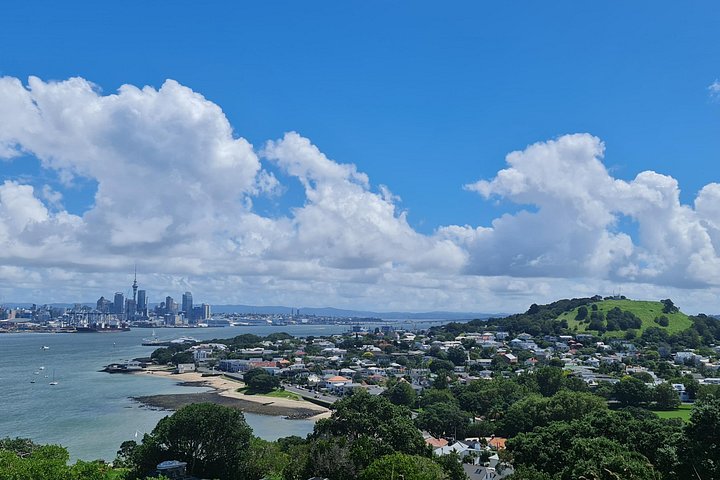 Visita galardonada en grupo reducido explorando los puntos destacados de la ciudad de Auckland, incluido el Puente del Puerto y el Monte Edén, foto 18 | wizardtrip