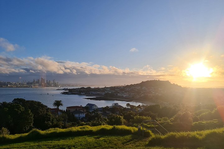 Visita galardonada en grupo reducido explorando los puntos destacados de la ciudad de Auckland, incluido el Puente del Puerto y el Monte Edén, foto 21 | wizardtrip