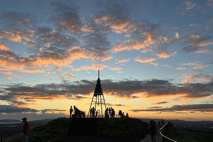 Visita galardonada en grupo reducido explorando los puntos destacados de la ciudad de Auckland, incluido el Puente del Puerto y el Monte Edén, foto 22 | wizardtrip