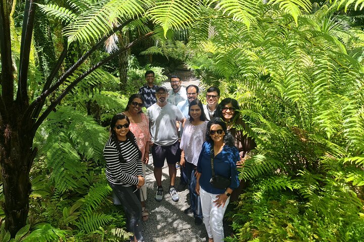 Visita galardonada en grupo reducido explorando los puntos destacados de la ciudad de Auckland, incluido el Puente del Puerto y el Monte Edén, foto 36 | wizardtrip