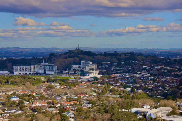 Visita galardonada en grupo reducido explorando los puntos destacados de la ciudad de Auckland, incluido el Puente del Puerto y el Monte Edén, foto 43 | wizardtrip