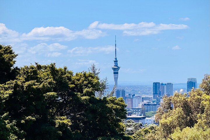 Visita galardonada en grupo reducido explorando los puntos destacados de la ciudad de Auckland, incluido el Puente del Puerto y el Monte Edén, foto 45 | wizardtrip