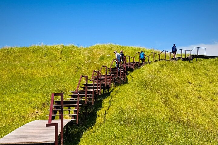 Visita galardonada en grupo reducido explorando los puntos destacados de la ciudad de Auckland, incluido el Puente del Puerto y el Monte Edén, foto 46 | wizardtrip