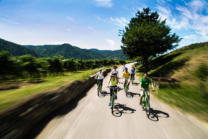 Passeio de bicicleta pelo Vale de Wachau, Áustria, com degustação de vinhos e vistas do rio Danúbio, foto 6 | wizardtrip