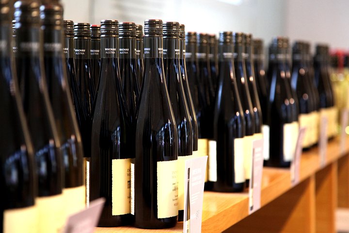 Passeio de bicicleta pelo Vale de Wachau, Áustria, com degustação de vinhos e vistas do rio Danúbio, foto 7 | wizardtrip