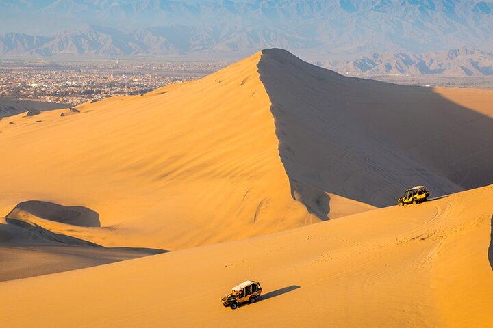 Dagstur fra Lima til Paracas, Huacachina og en pisco-vingård, med dyreliv, ørkeneventyr og lokal kultur, foto 7 | wizardtrip