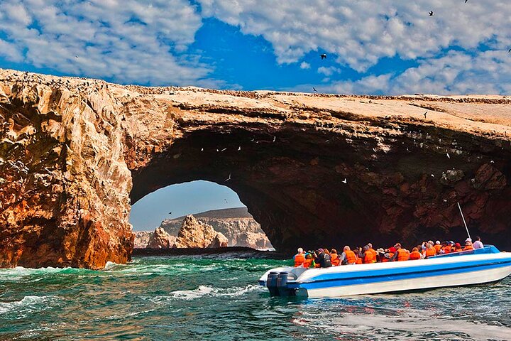 Dagstur fra Lima til Paracas, Huacachina og en pisco-vingård, med dyreliv, ørkeneventyr og lokal kultur, foto 9 | wizardtrip