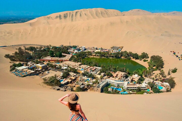 Dagstur fra Lima til Paracas, Huacachina og en pisco-vingård, med dyreliv, ørkeneventyr og lokal kultur, foto 10 | wizardtrip