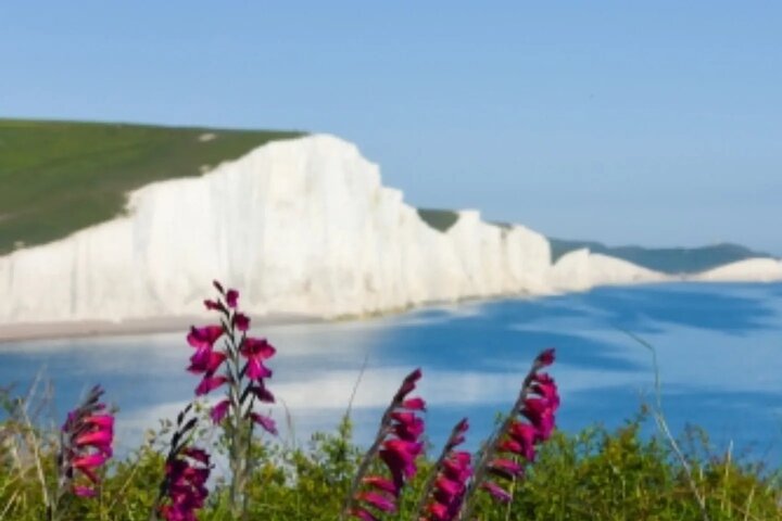 Vistas panorâmicas das falésias Seven Sisters e do Parque Nacional de South Downs num passeio guiado a partir de Londres, foto 7 | wizardtrip