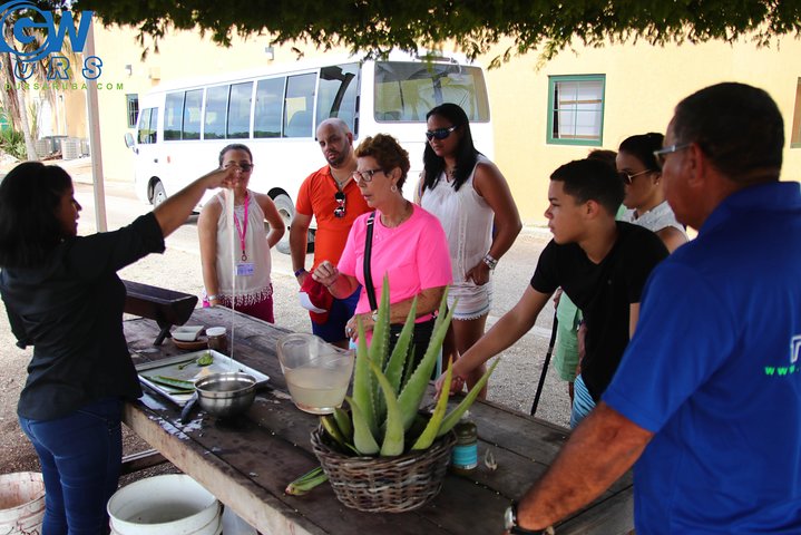 Aruba plattelandstour met vuurtorens, kapellen, rotsformaties en historische bezienswaardigheden, foto 9 | wizardtrip