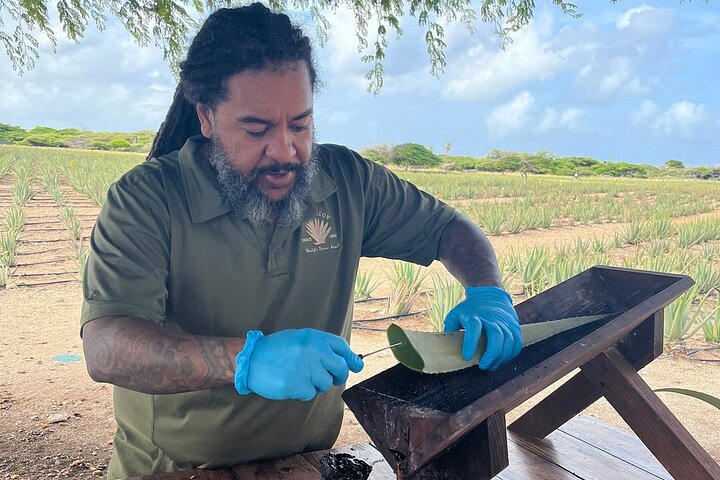 Aruba plattelandstour met vuurtorens, kapellen, rotsformaties en historische bezienswaardigheden, foto 10 | wizardtrip