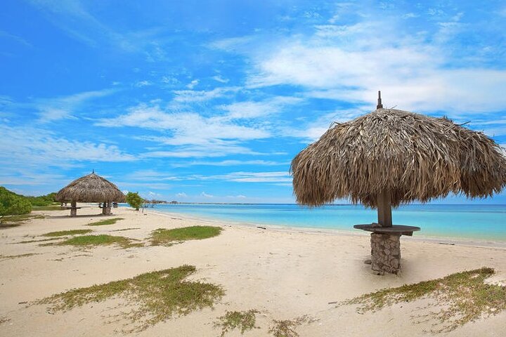 Jeep adventure exploring Aruba's Natural Pool, caves, and Baby Beach, photo 4 | wizardtrip