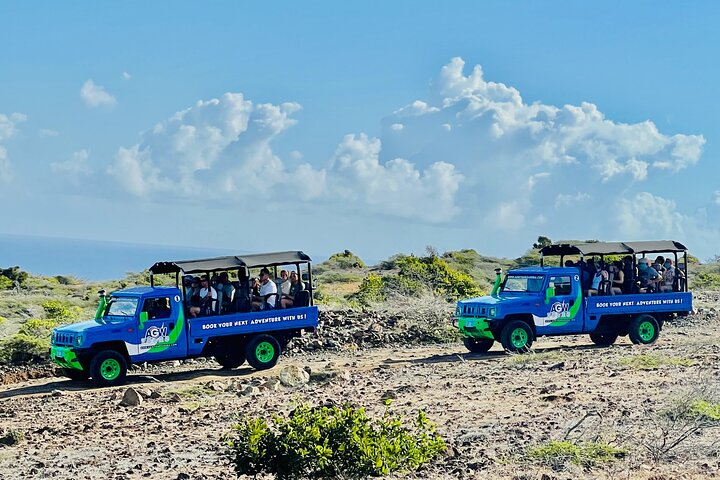 Jeep adventure exploring Aruba's Natural Pool, caves, and Baby Beach, photo 5 | wizardtrip