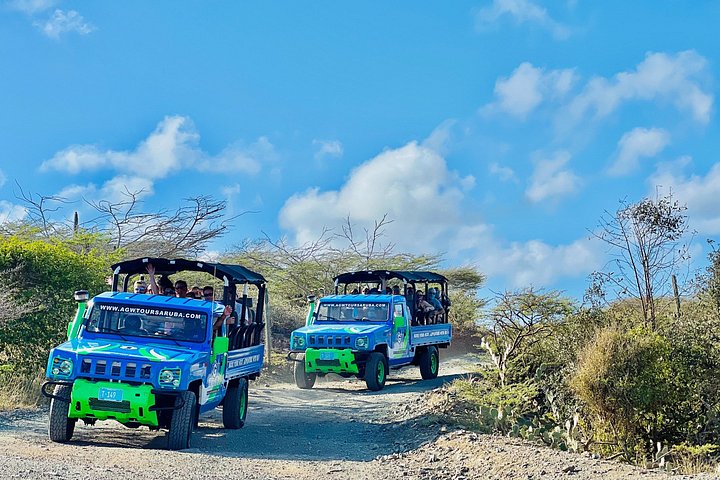 Jeep adventure exploring Aruba's Natural Pool, caves, and Baby Beach, photo 12 | wizardtrip