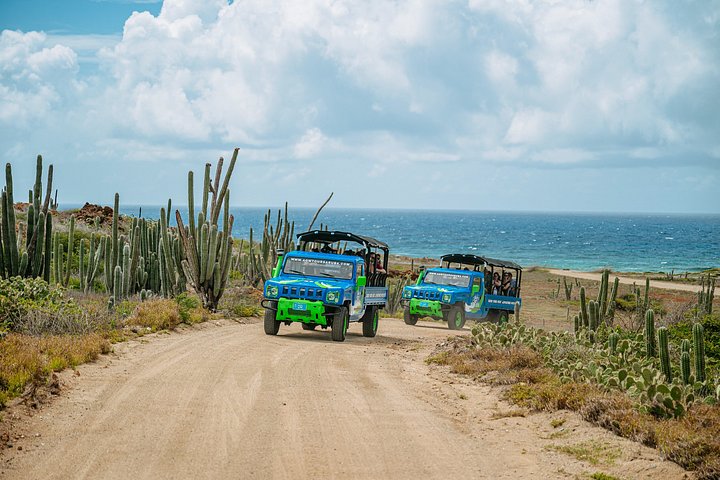 Jeep adventure exploring Aruba's Natural Pool, caves, and Baby Beach, photo 25 | wizardtrip