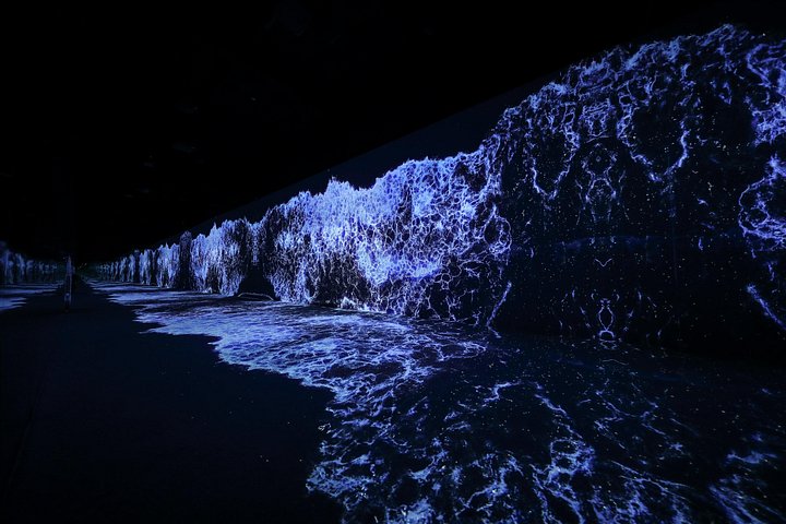 Fordybende digital kunstudstilling på ARTE MUSEUM LAS VEGAS med naturinspirerede installationer, foto 6 | wizardtrip