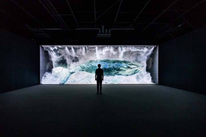 Fordybende digital kunstudstilling på ARTE MUSEUM LAS VEGAS med naturinspirerede installationer, foto 11 | wizardtrip