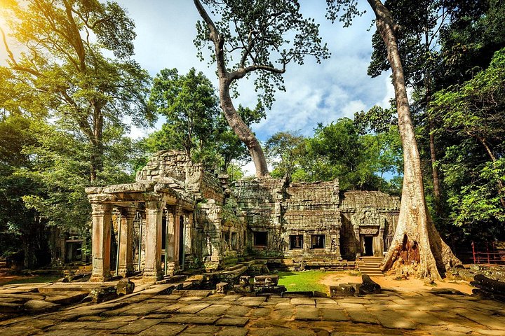 Explore templos antiguos como Angkor Wat y Ta Prohm en un tour privado de un día desde Siem Reap, Camboya, foto 6 | wizardtrip
