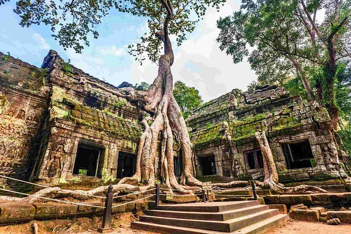 Explore templos antiguos como Angkor Wat y Ta Prohm en un tour privado de un día desde Siem Reap, Camboya, foto 8 | wizardtrip