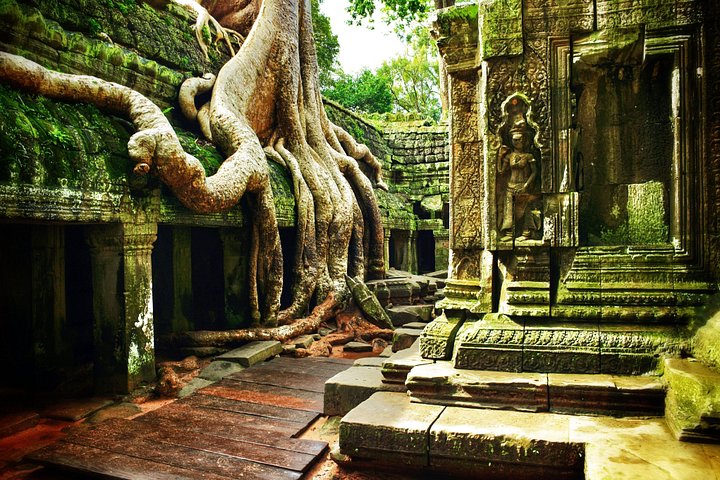 Explore templos antiguos como Angkor Wat y Ta Prohm en un tour privado de un día desde Siem Reap, Camboya, foto 14 | wizardtrip