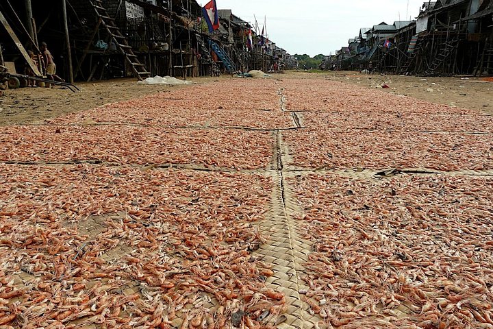 Udforsk pælelandsbyen Kampong Phluk og Tonle Sap-søen nær Siem Reap, Cambodja, foto 6 | wizardtrip