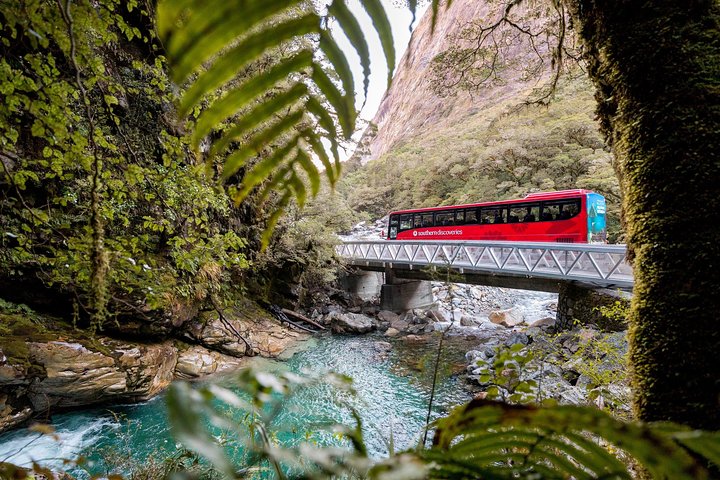 Tour in pullman e crociera a Milford Sound da Queenstown, Nuova Zelanda, che mostra splendidi paesaggi del fiordo, foto 15 | wizardtrip