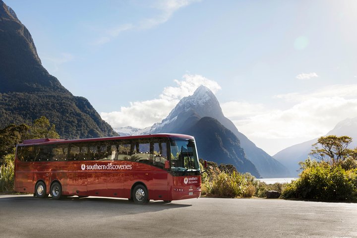 Naturskjønn buss- og cruisetur til Milford Sound fra Queenstown, New Zealand, foto 8 | wizardtrip